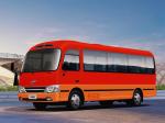 Hyundai County 2008 года